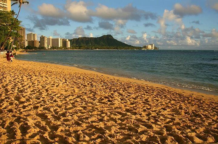 Waikiki Shore Beachfront Honolulu Eksteriør billede